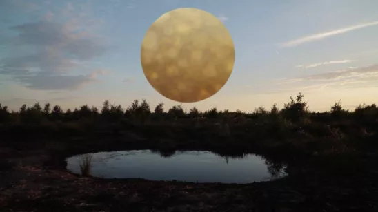 Translocations – CineGlobe 2025