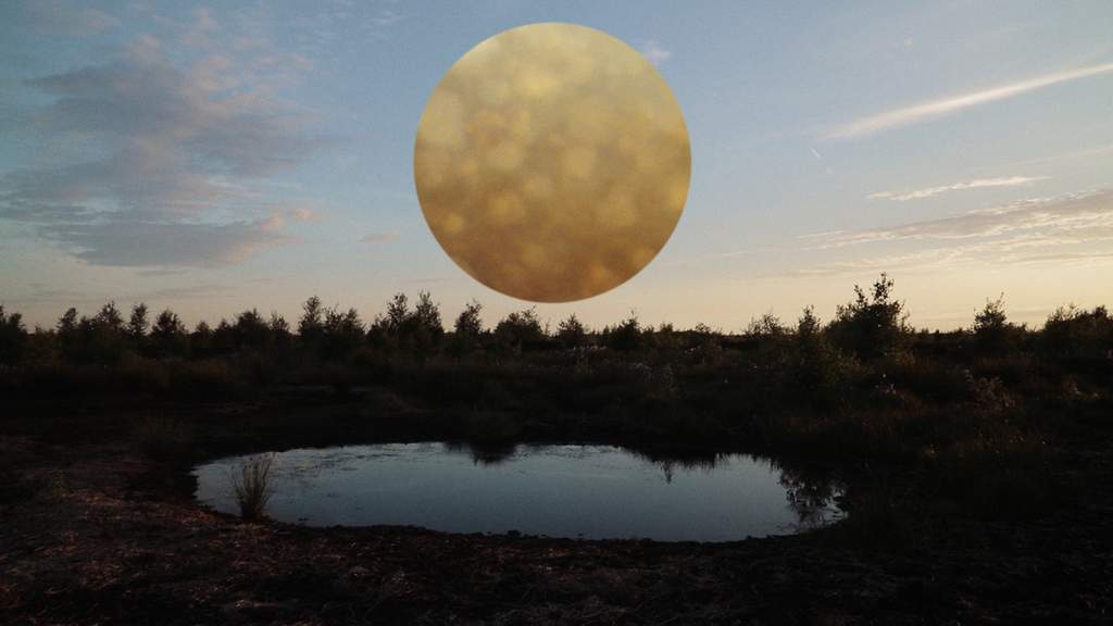 Translocations – CineGlobe 2025