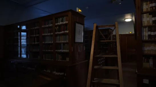 Storm in a book – CineGlobe 2025