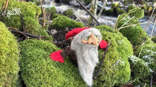 Tomte and the Tree – CineGlobe 2026